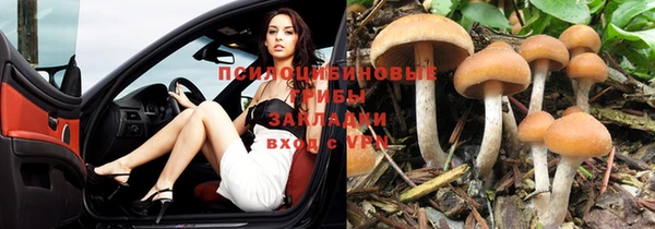 синтетический гашиш Нефтегорск